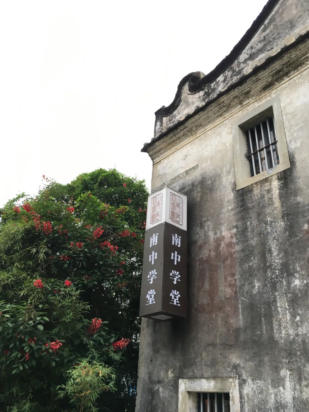 旭光车行雅迪电动车,旭光单车