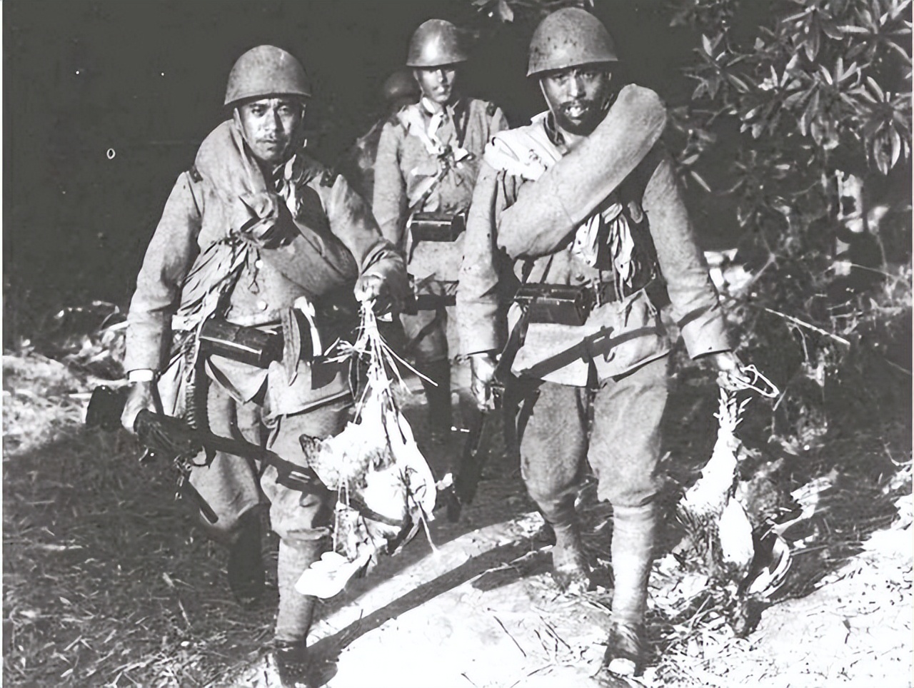 *兽禽**师团的覆灭：端着*刀刺**去硬刚盟军，结果被打到怀疑人生