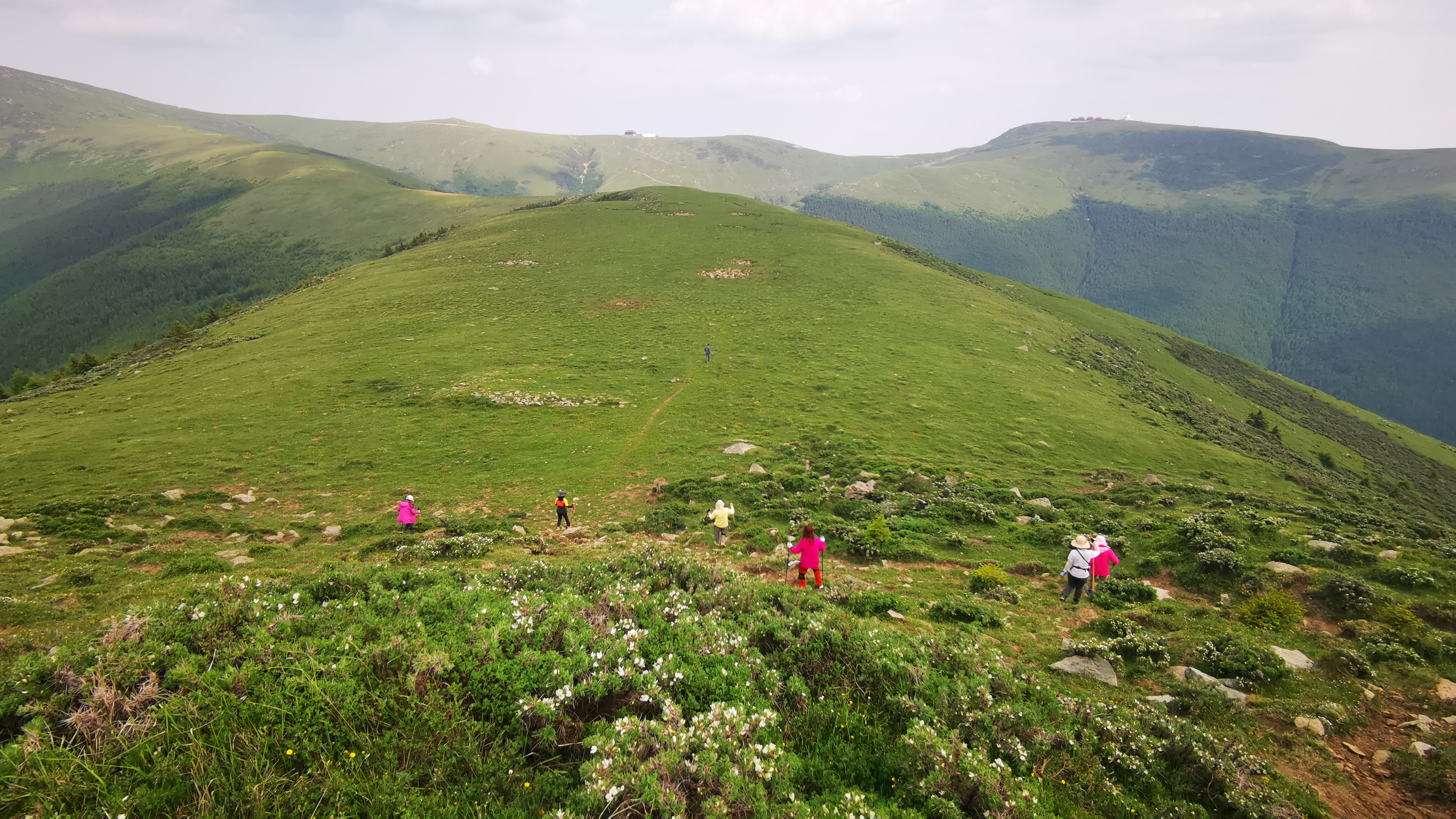 端午节五台山三日大五朝台第二天（西台-中台-插旗台-澡浴池）