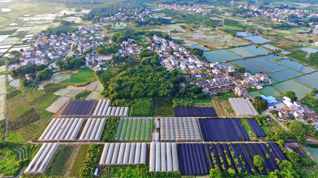 农村未来的出路在哪里,农村未来打工的出路