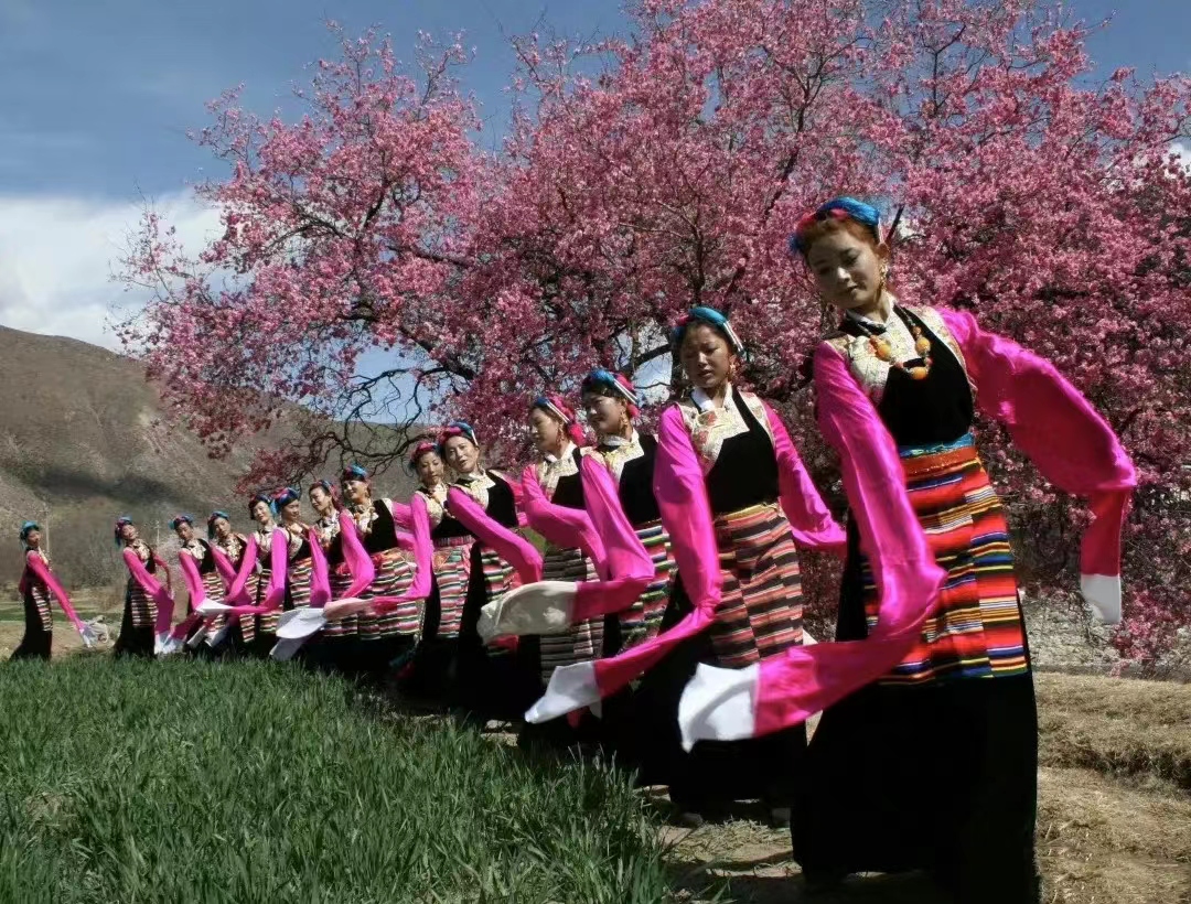 西藏巴塘弦子音乐,藏族巴塘音乐