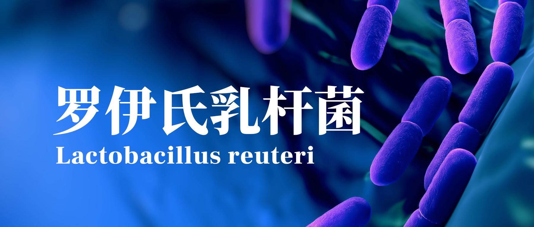 罗伊氏乳杆菌讲解,认识法国的益生菌