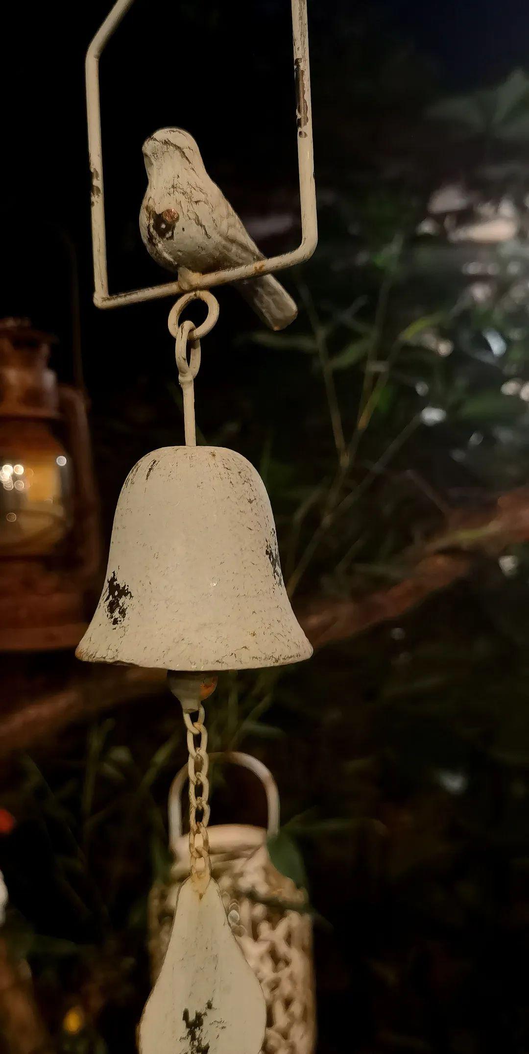 狂飙播出后张颂文有多火,狂飙主演张颂文经纪人