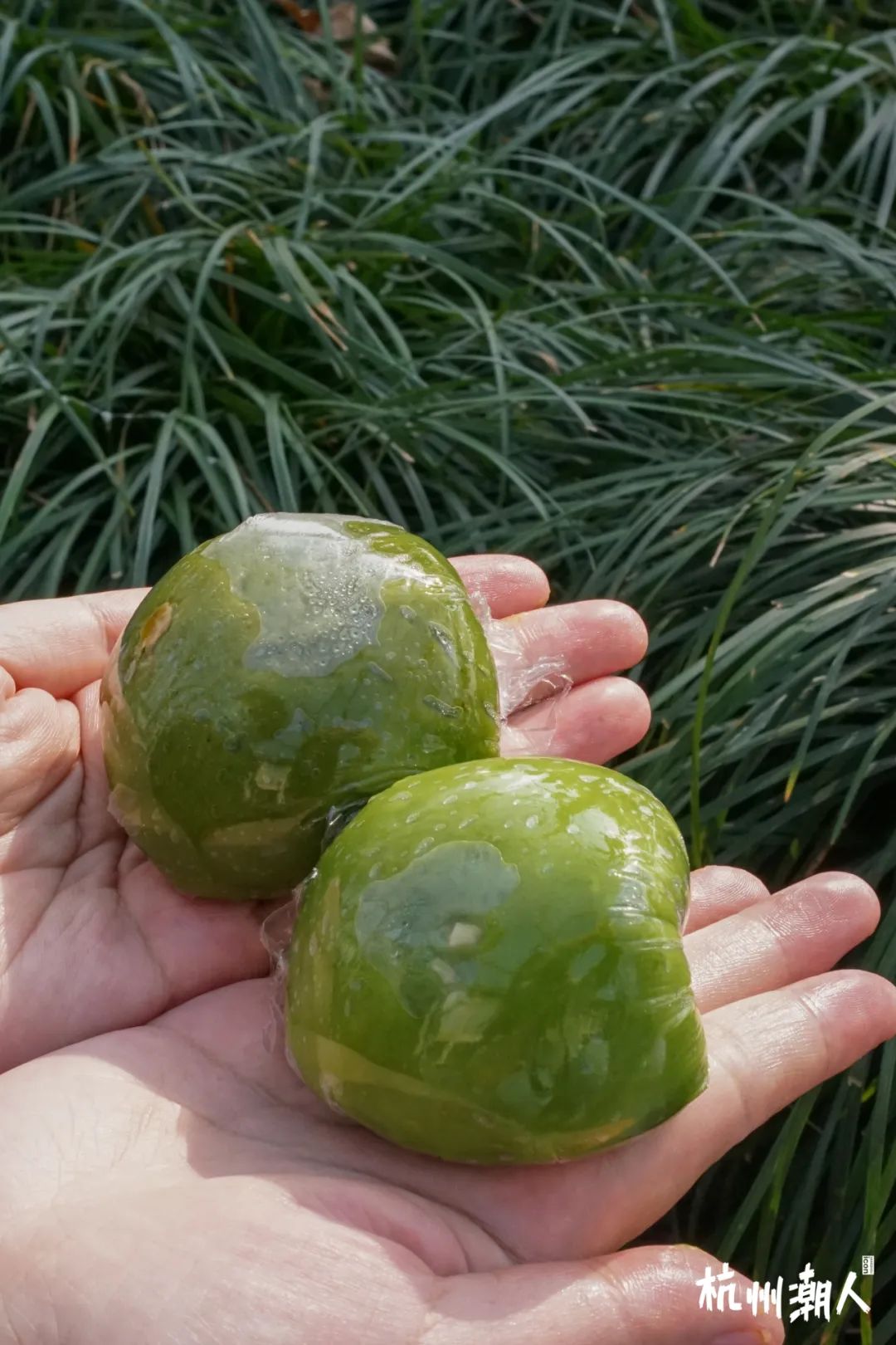 青团推荐哪个牌子,11款超奇葩青团