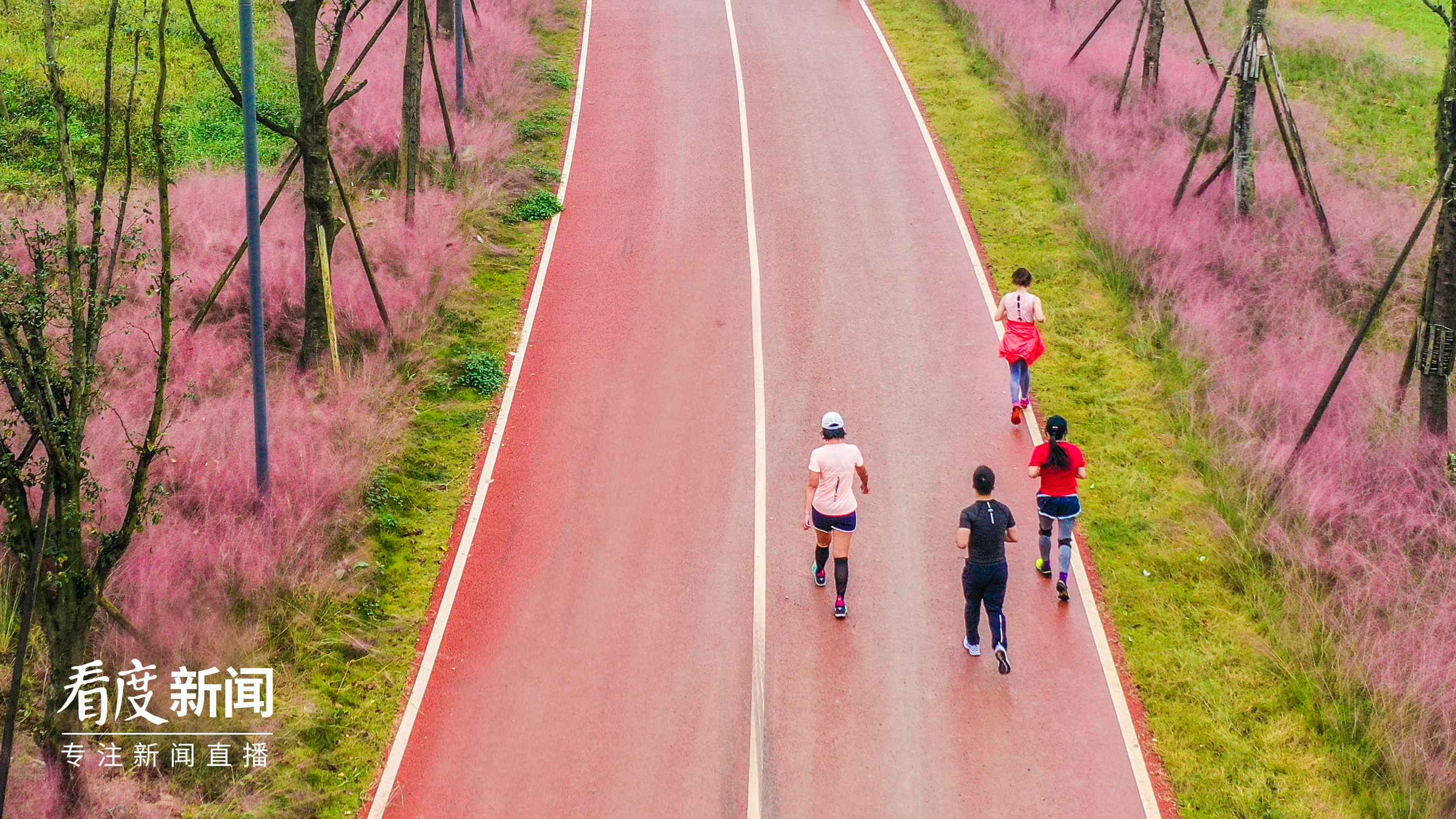 环城观景，“骑”乐无穷①|成都的这个圈，不止有朋友还有生活