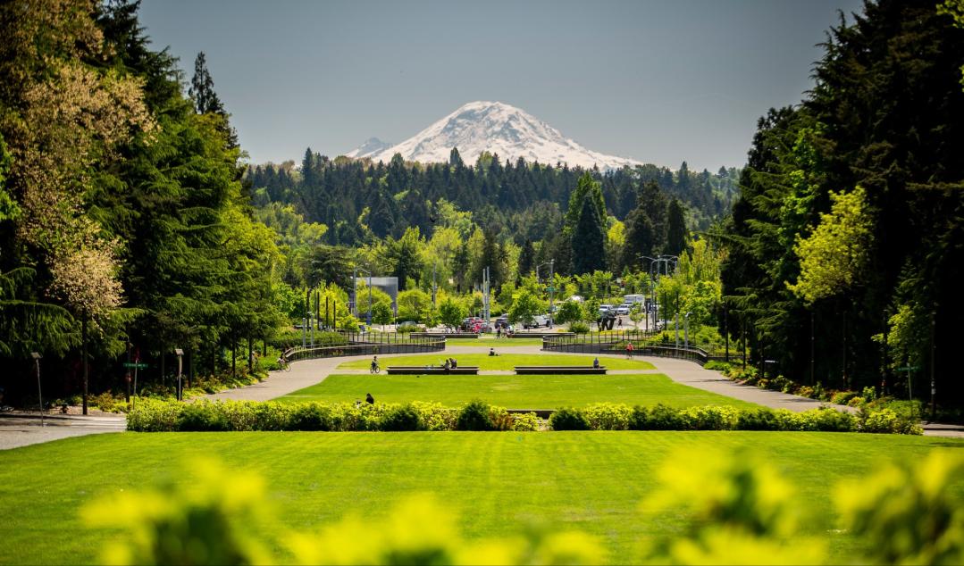 美国留学研究生录取率高的大学,录取率最低的50所美国大学
