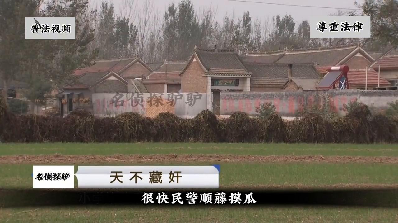 河南林州最近失联女孩,林州取快递失联女孩身亡