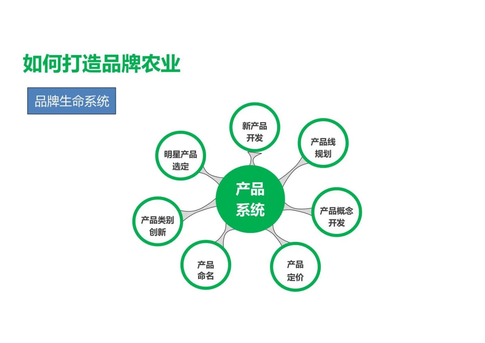农业方面创业成功案例ppt,创新创业农业项目计划书ppt
