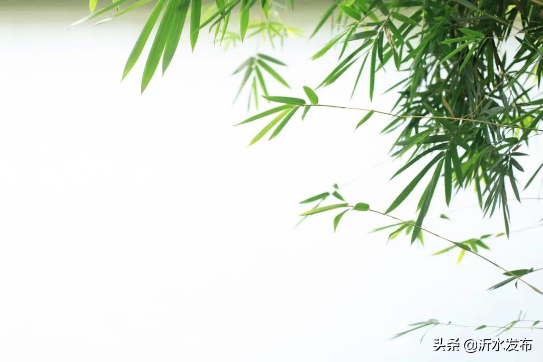 中国传统十二个月的别称,十二个月份的古代雅称