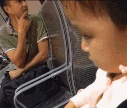 生活里也有乐趣,我们的生活有哪些乐趣呢