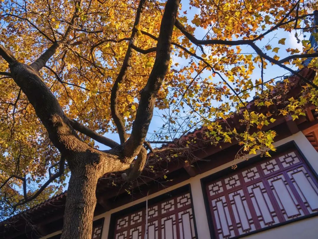 住在常府街，不羡城南与河西