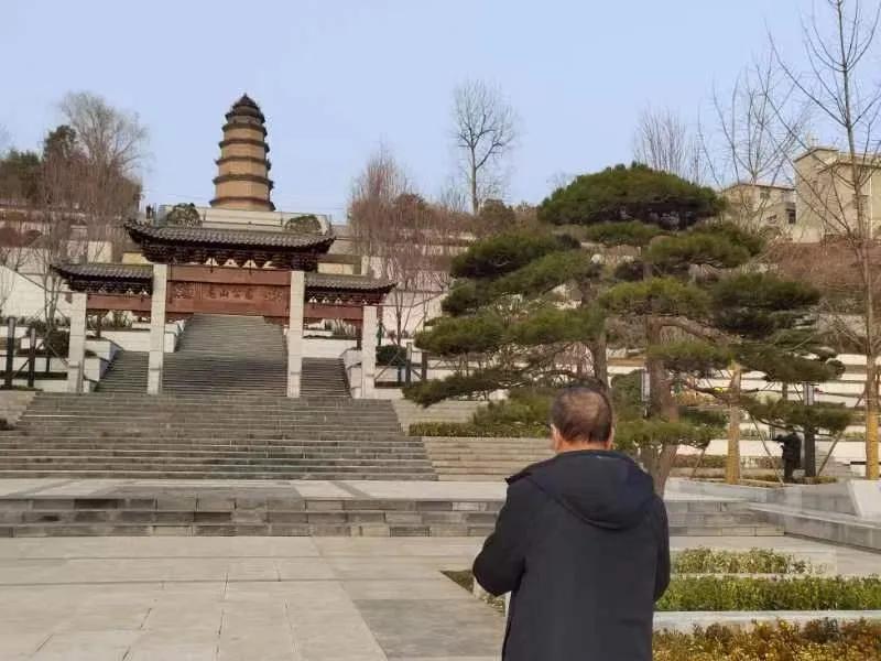 龙山公园攻略,龙山公园一日游