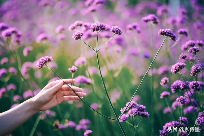 50岁阿姨拍照姿势大全站姿,中年女人拍照姿势小窍门