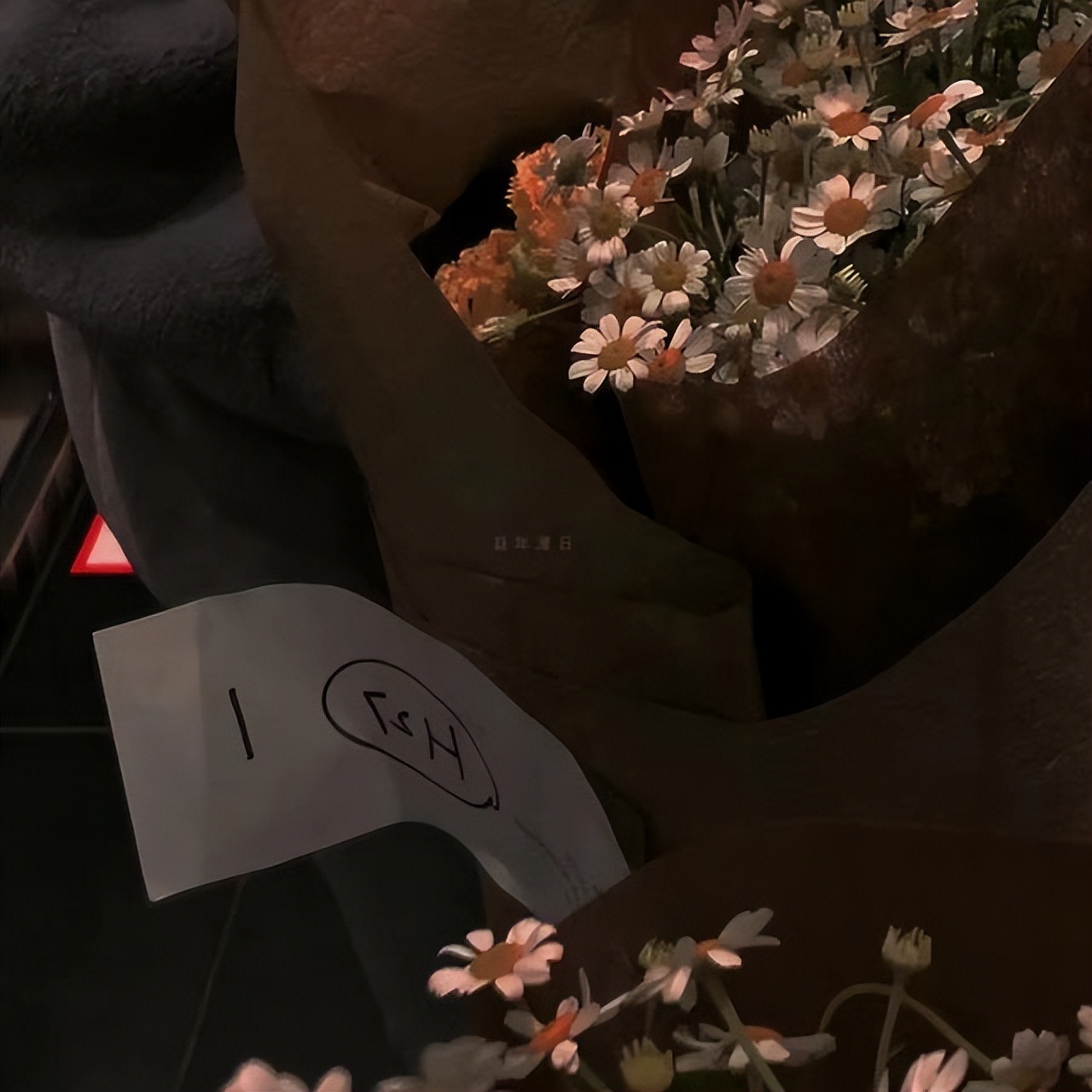 如何评价射手座女生太真实了,射手座女生怎么评价别人家的男友