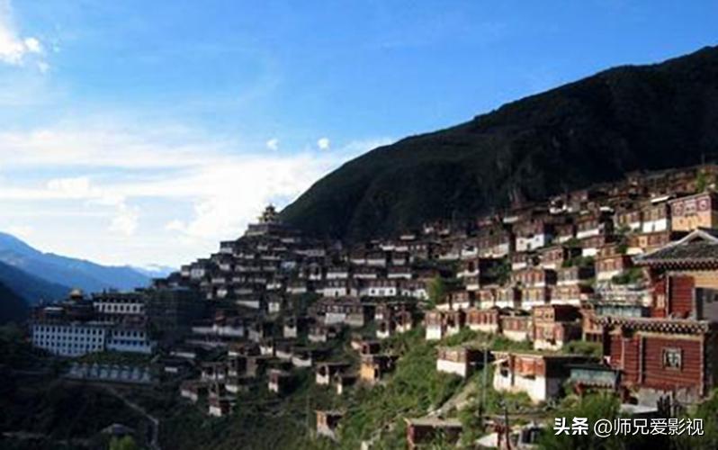 雅江松茸之乡完整视频,雅江松茸之乡山清水秀