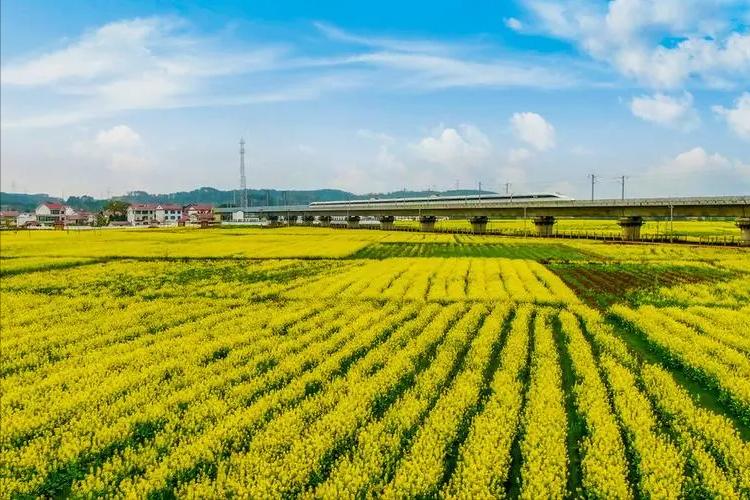 农村信用社金融政策,农村信用社主要业务