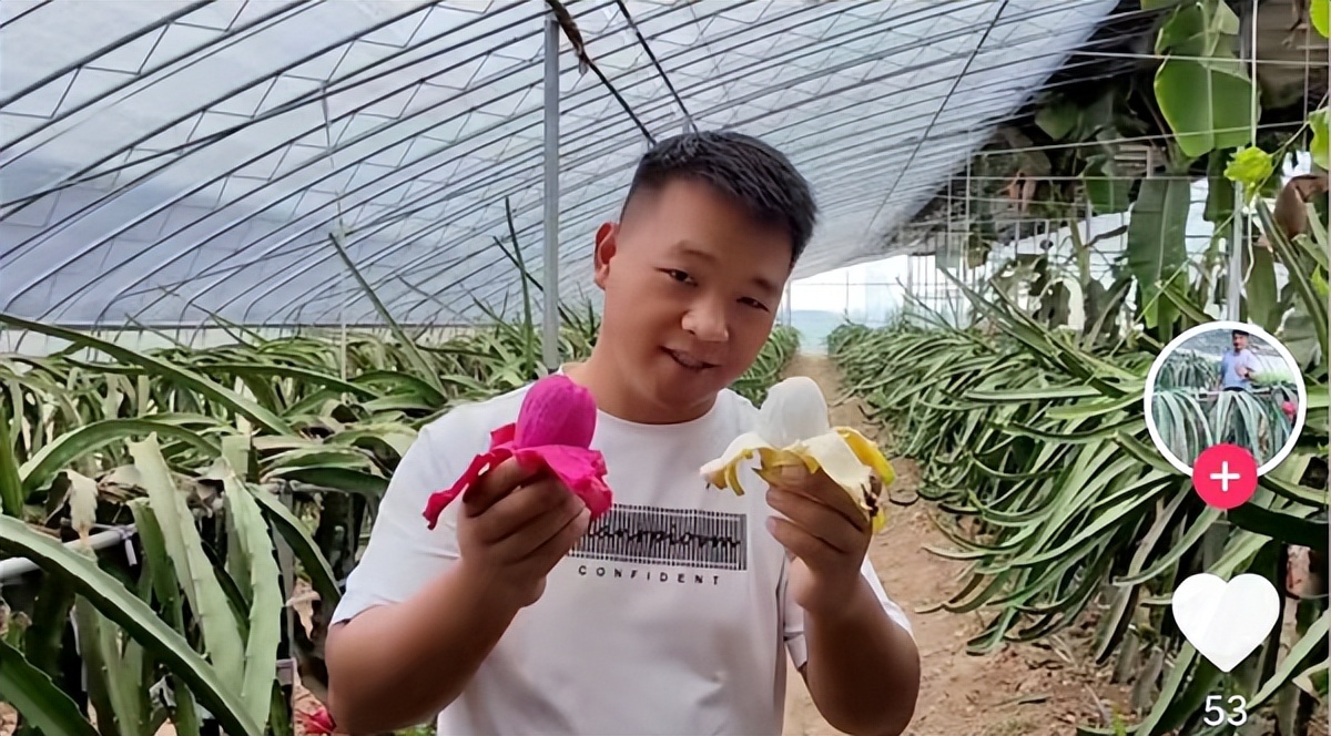 z世代创业年轻人,z世代成长中的新一代青年