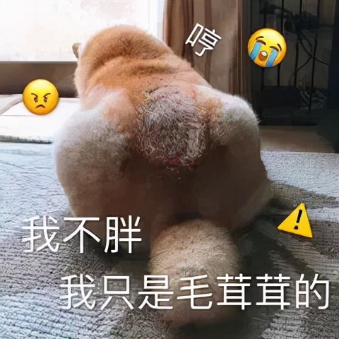 减肥小基数96斤怎么就不好减了,3个月我瘦了25斤小基数减肥心得