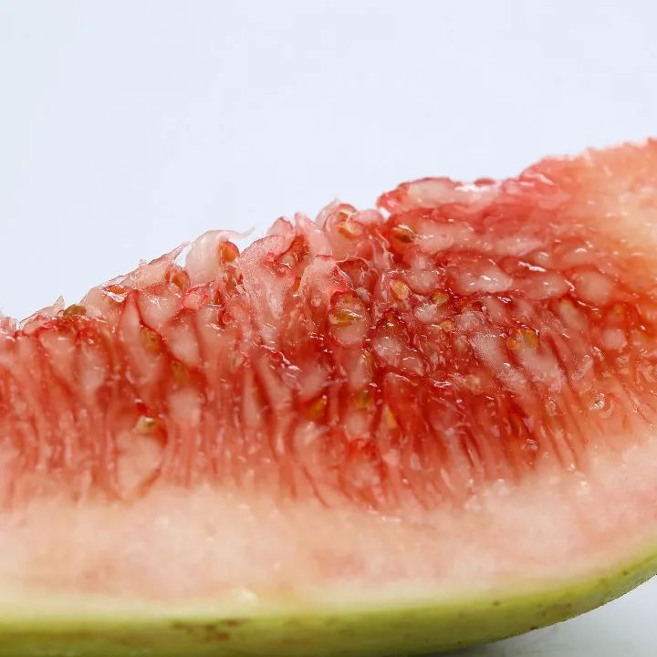 大自然的奇花有哪些,大自然一年四季都能开的花