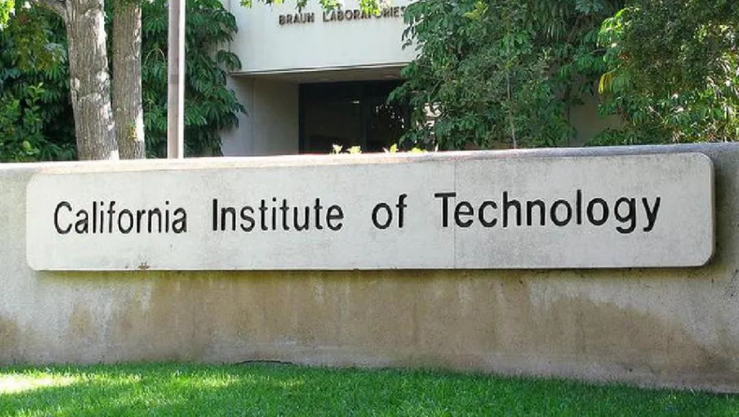 加州理工学院与纽约理工大学比较,世界名校大学合集