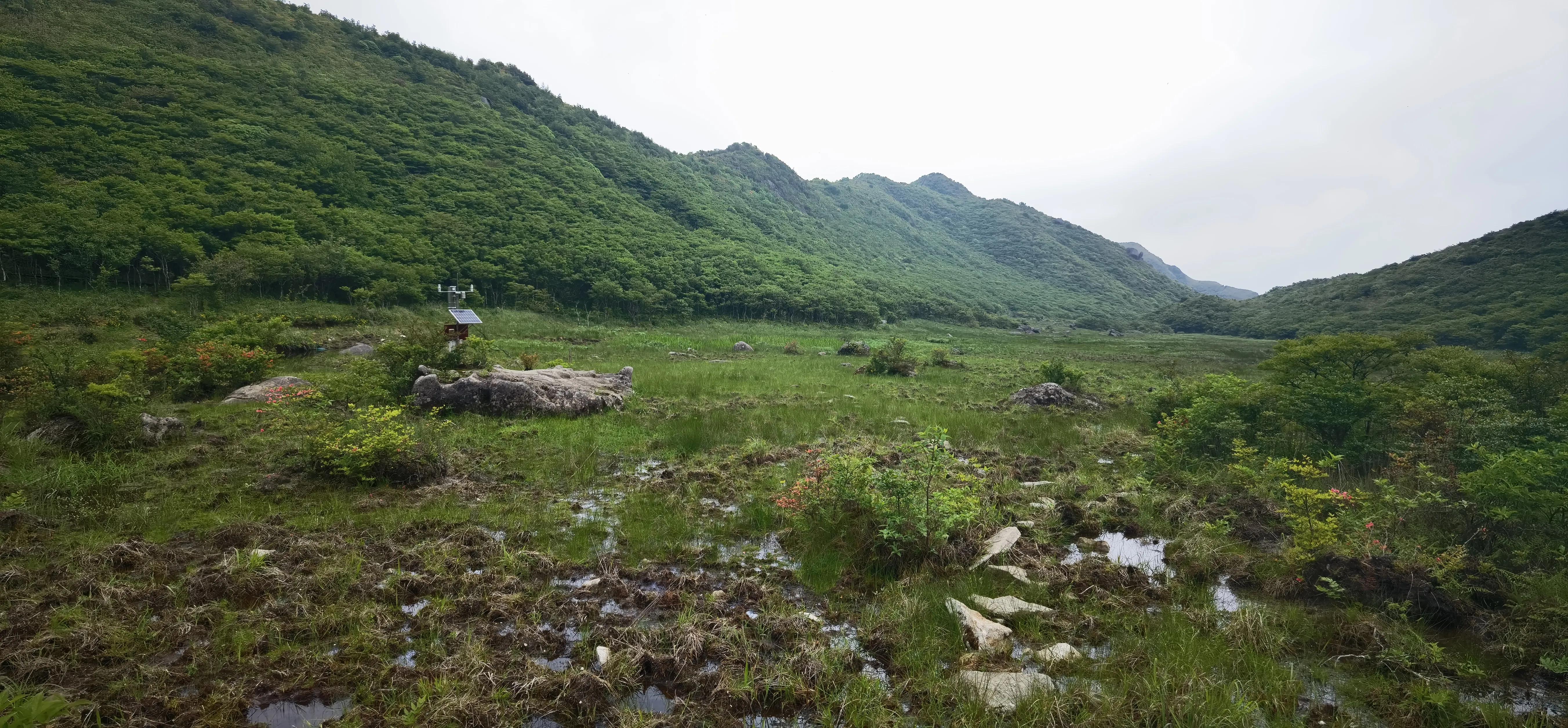 浏阳大围山森林公园浏阳河源头,大围山杜鹃花在哪个景点看