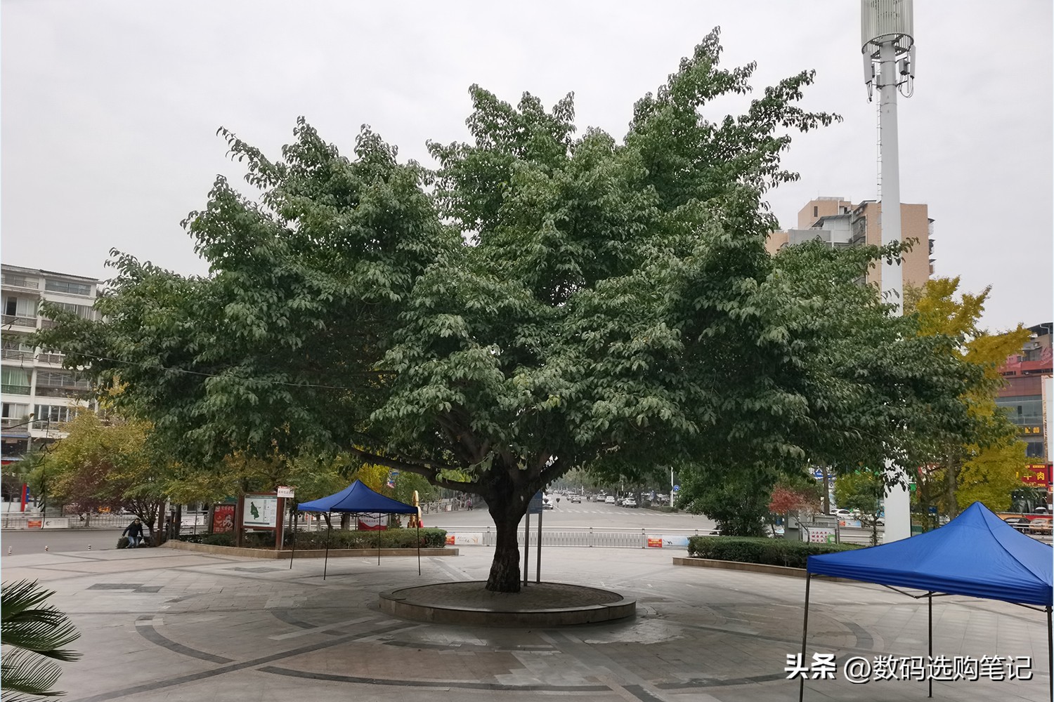 荣耀v30pro和苹果6sp哪个拍照好,华为nova5ipro跟荣耀v30pro哪个好