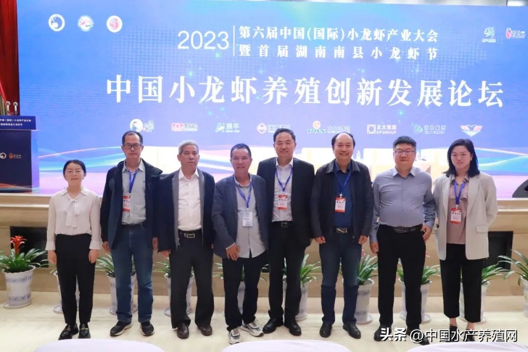 2023年南县小龙虾价格行情,南县小龙虾价格报价