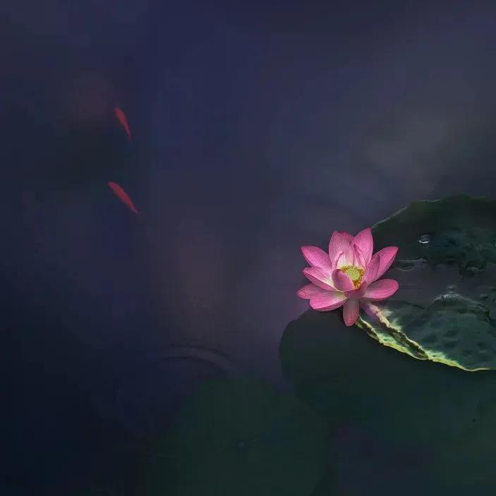 王昌龄最著名的十首诗朗读,王昌龄最著名十首诗