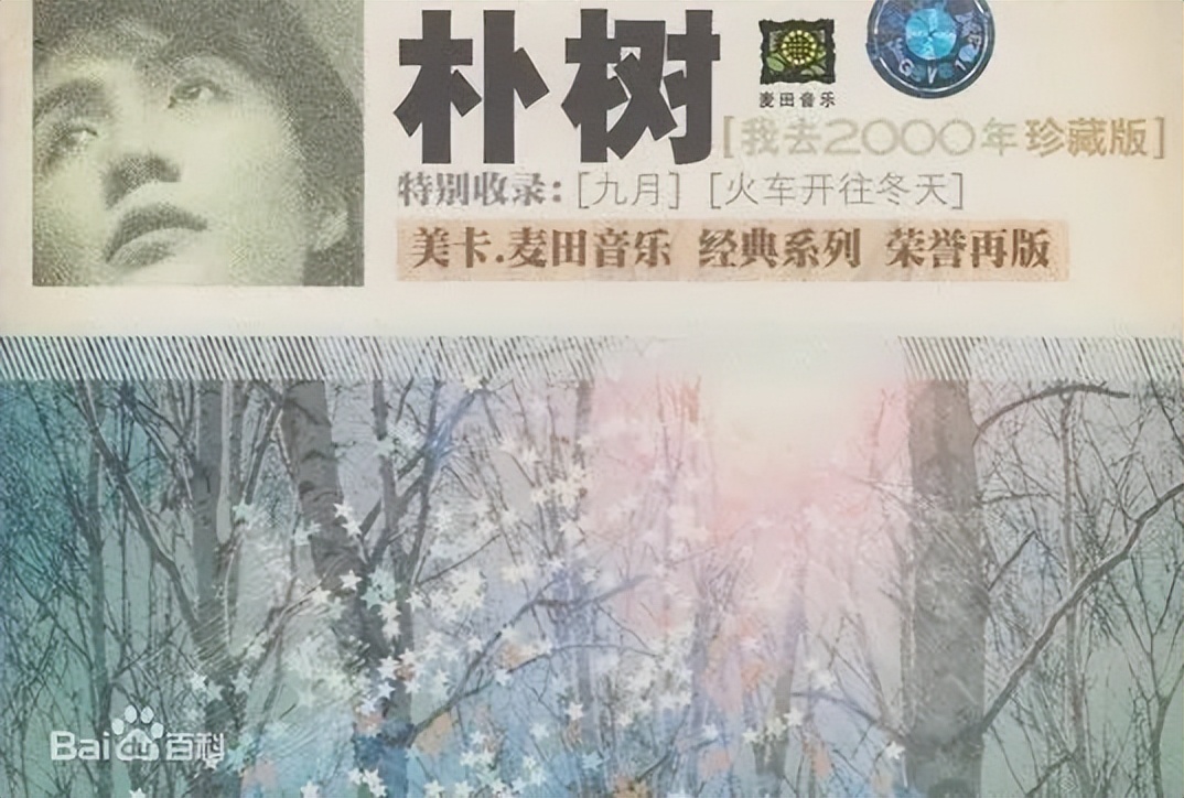 朴树娱乐圈段位,朴树音乐圈地位