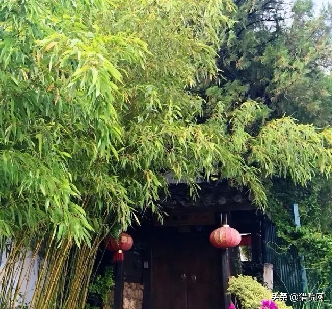 创业型农村小院,乡村创业农家小院设计方案