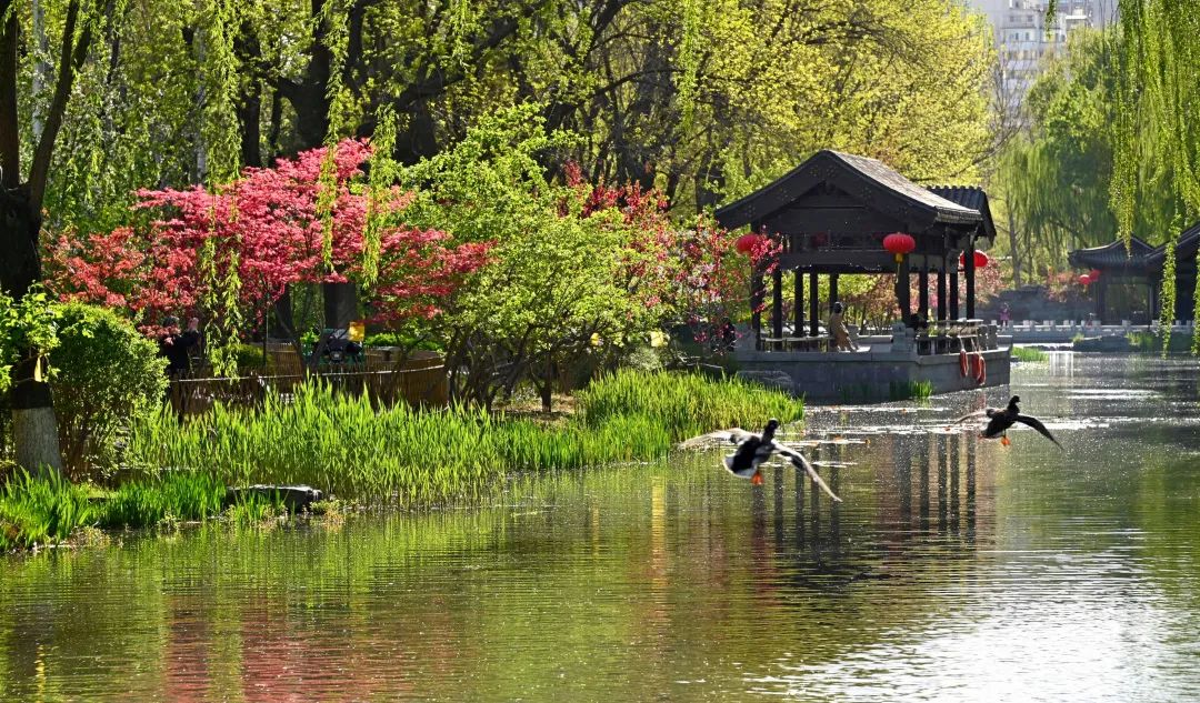 西城印象西平县,西城印象二期