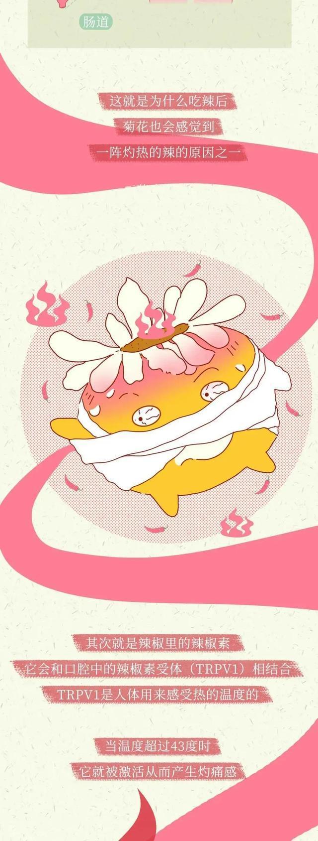 女生吃辣椒多了会怎样,女生吃辣会流粉色血吗