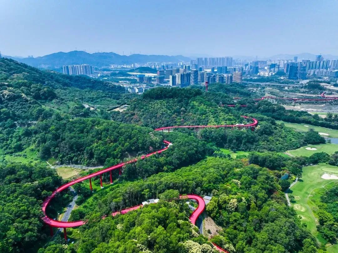 微度假|最美绿水青山线路！被深圳这片乡野田园治愈了