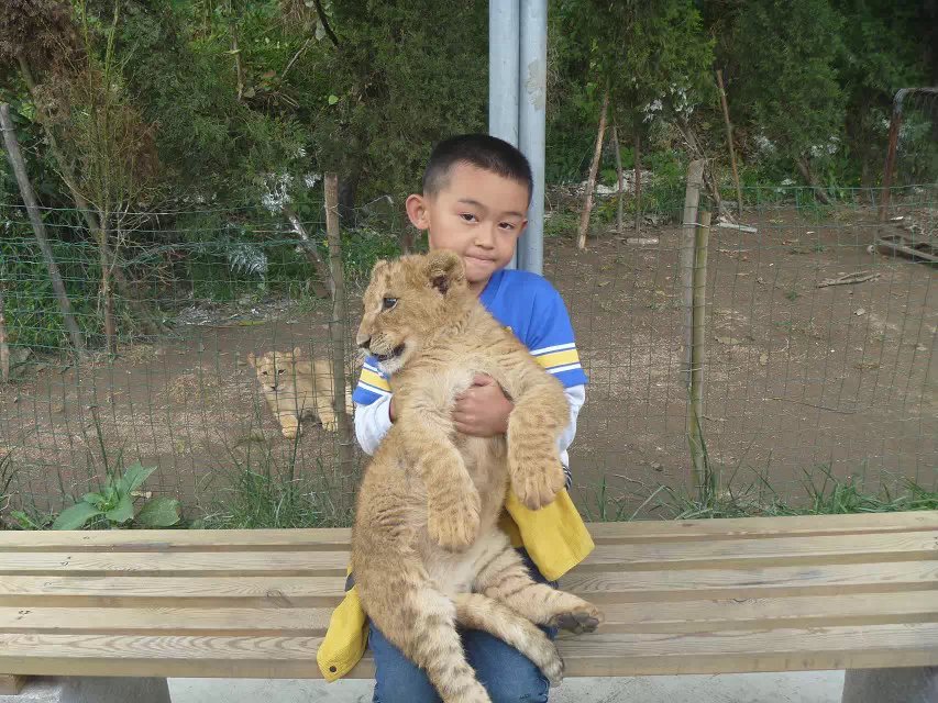 圣诞老人的礼物动画片,圣诞老人的礼物哪里买