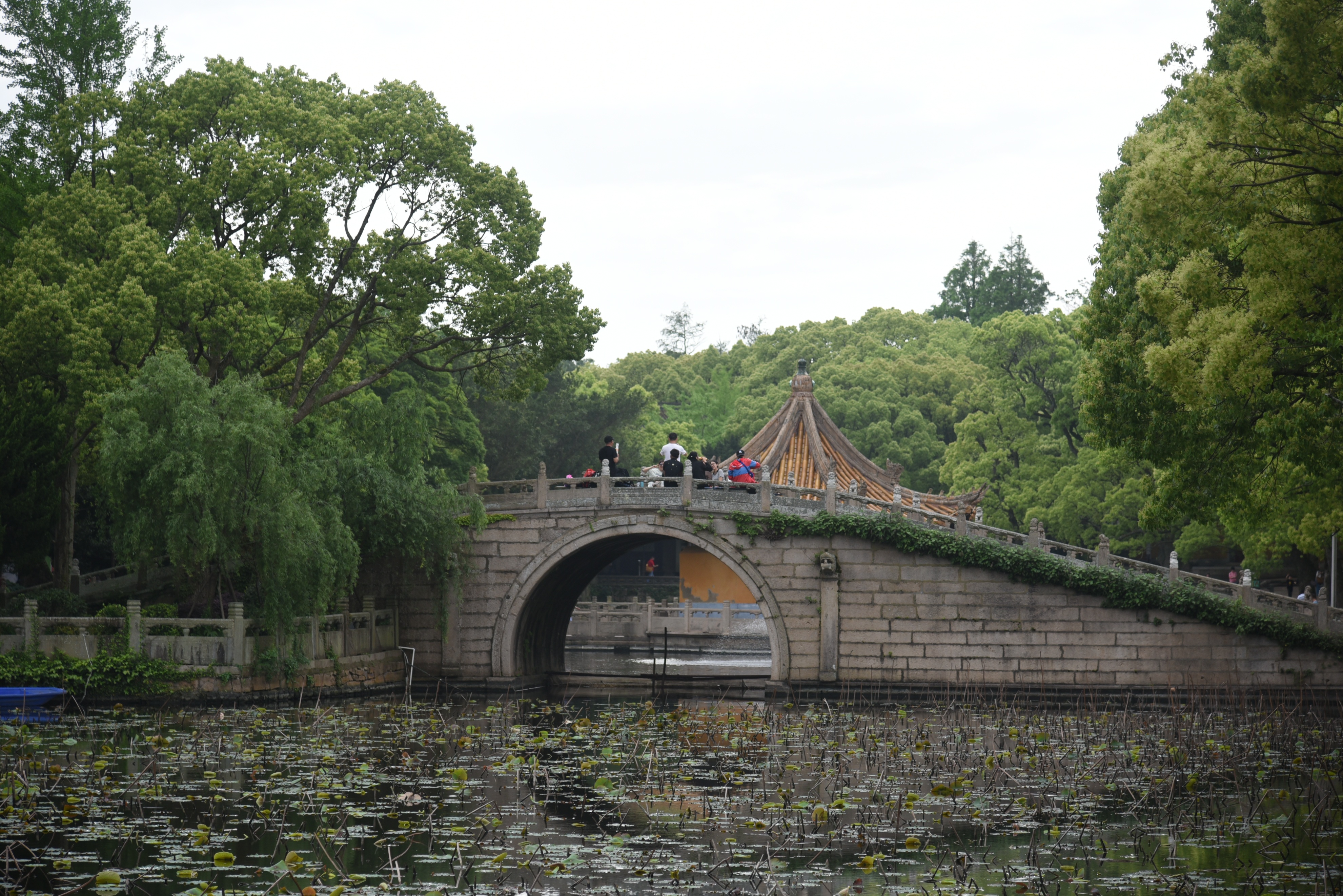 普陀山二日祈福游,普陀山朝拜二日行