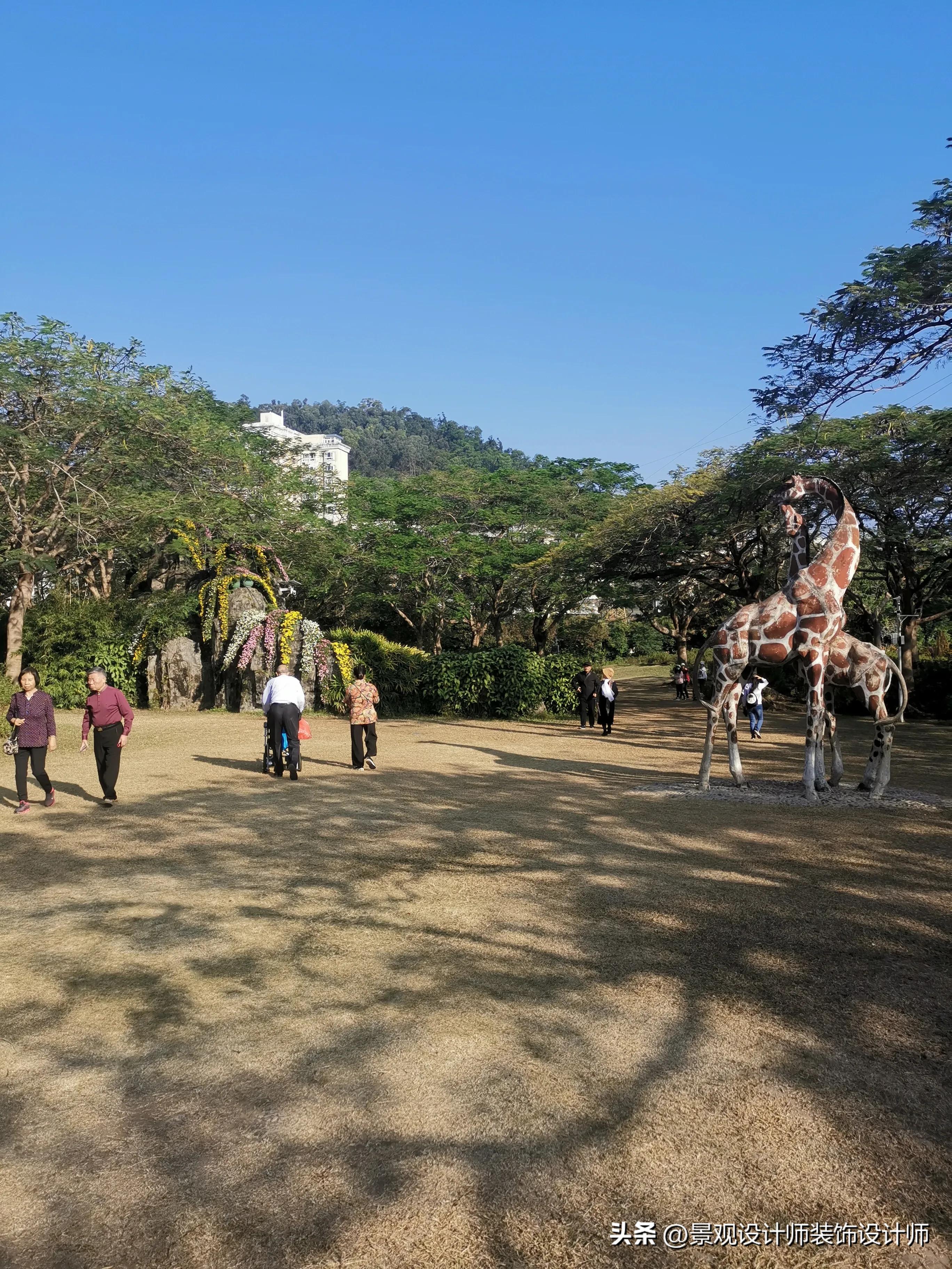 深圳市东湖公园广场舞,深圳市东湖公园收费标准