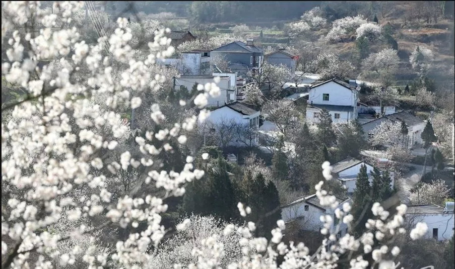 湖北省十堰市郧阳区有什么,十堰郧阳区包括哪些地方