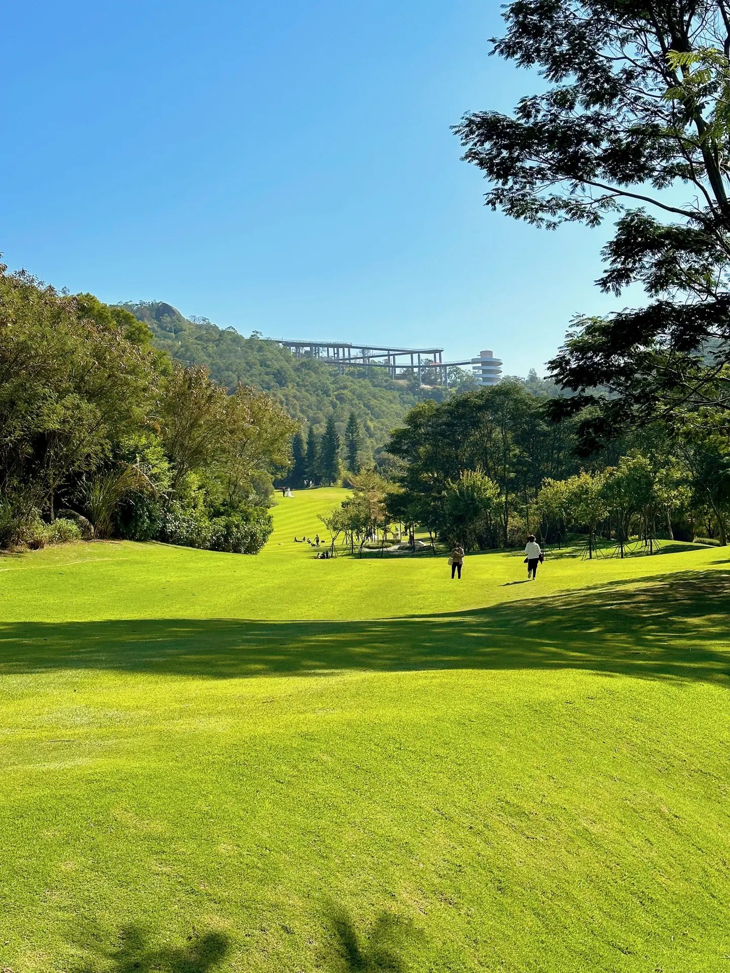 厦门租车自驾游攻略,厦门出行自驾游