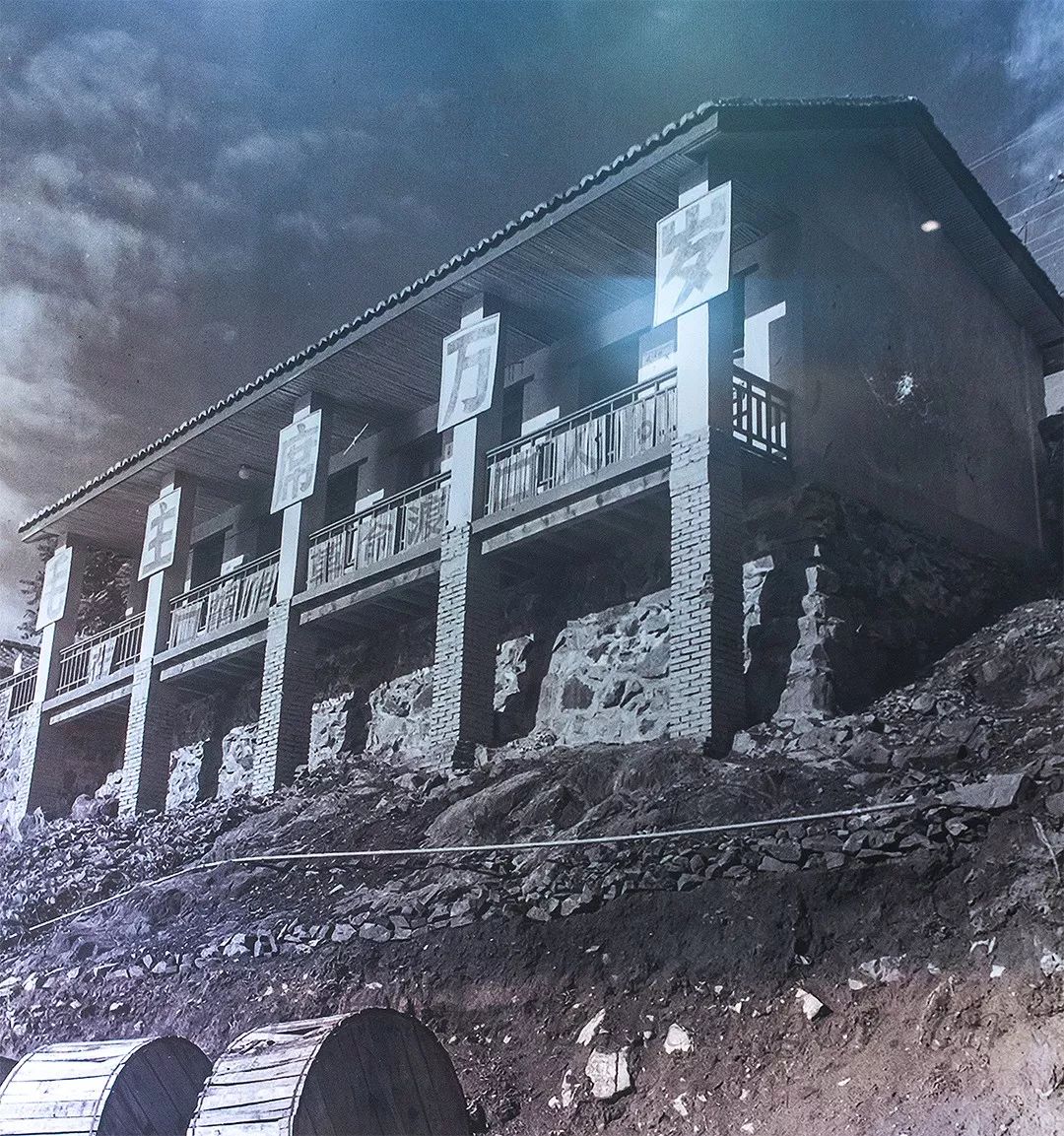 攀枝花是一种什么花,什么是攀枝花铁树