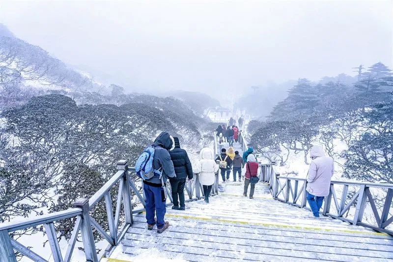 云南新春主题游,春节去云南旅游哪些地方好耍的