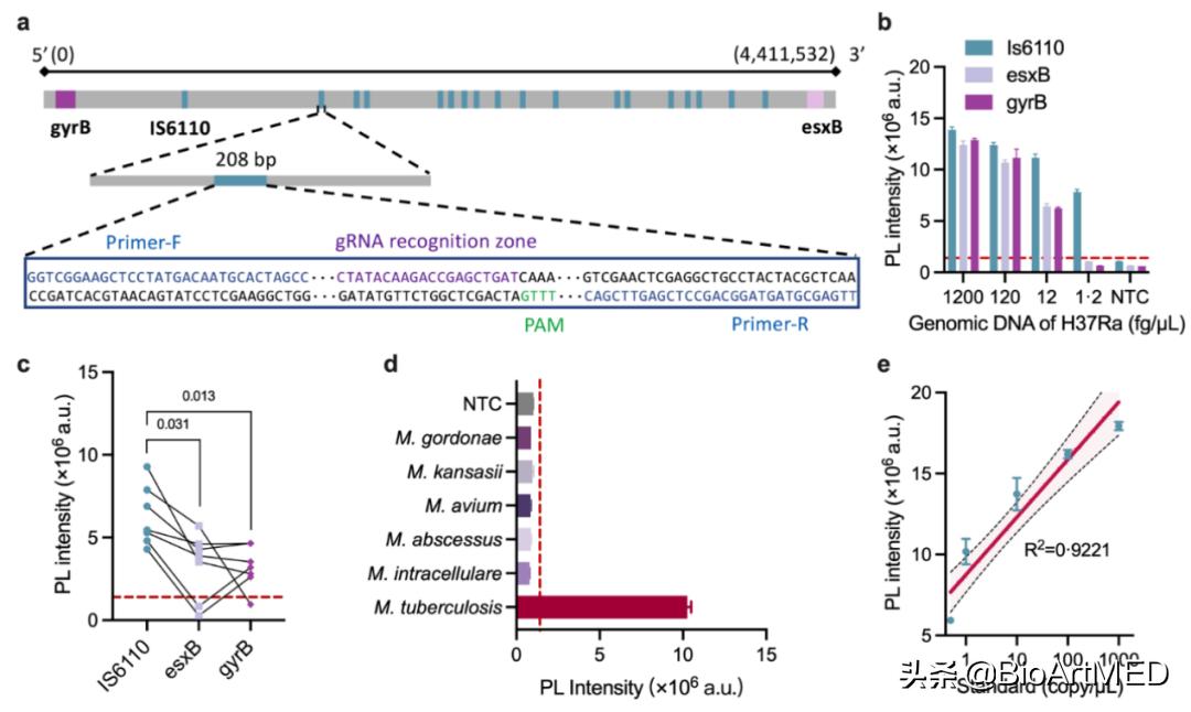 crispr诊断技术综述,crispr检测是什么