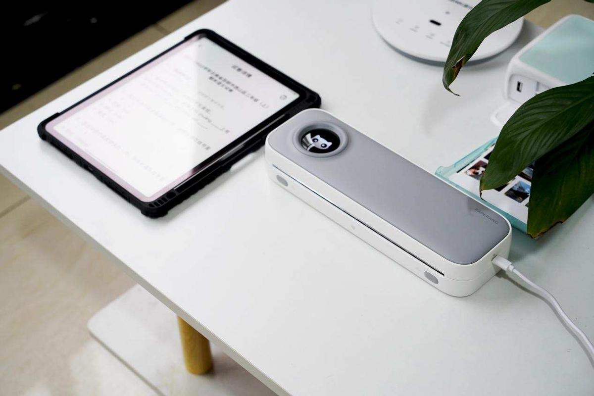 一个小小打印机就能帮助孩子学习喵喵机学习打印机F2S评测