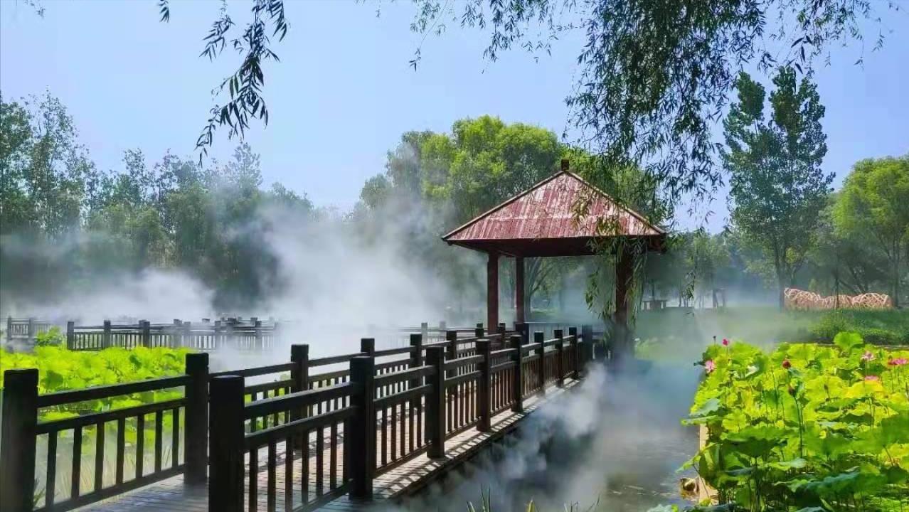 山东日照和枣庄哪个发达,日照综合实力