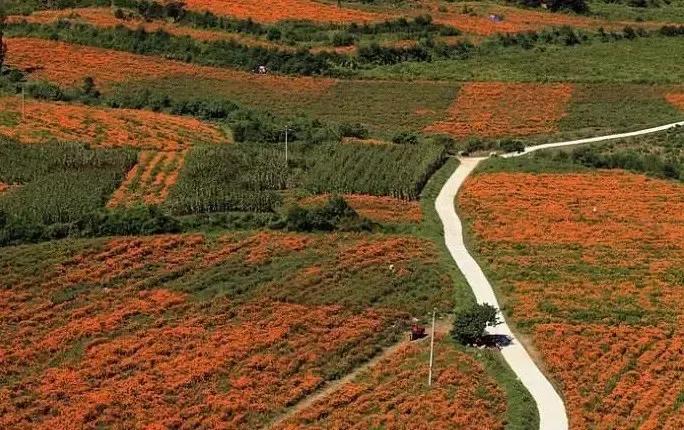 北京必去的30个赏秋地点,赏秋京城内外高颜值秋景大盘点