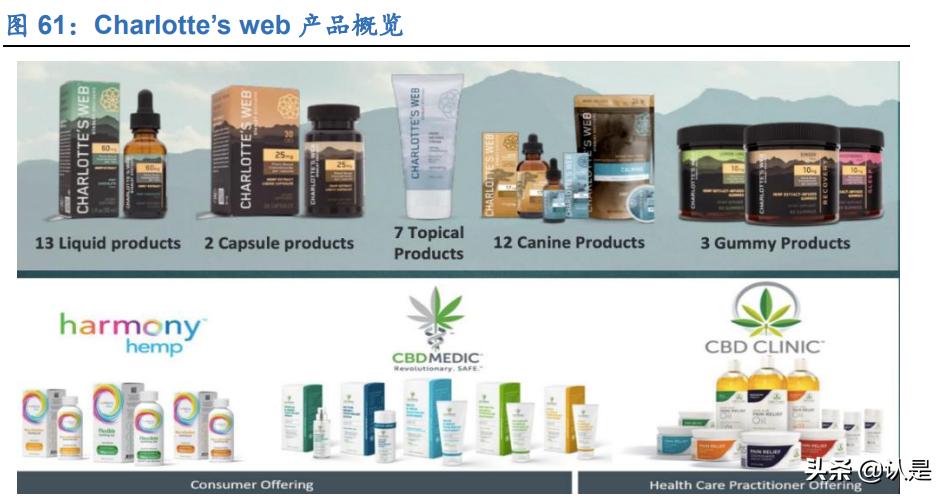 工业大麻的未来发展,工业大麻的未来前景