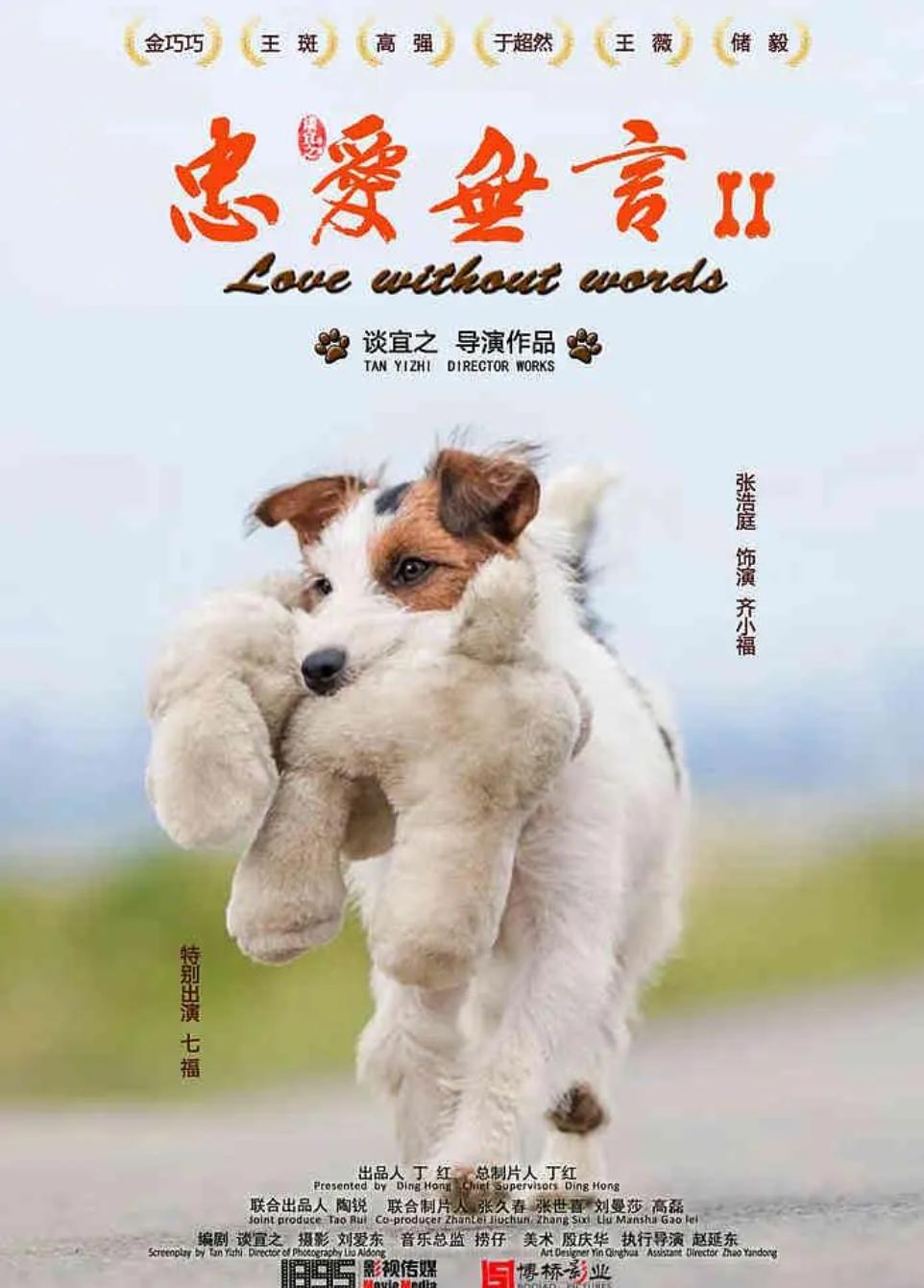 教育部向小学生推荐的影片有哪些,教育部推荐全国中小学的抗战影片