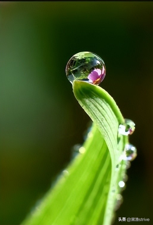 什么是摄影艺术独特的本质特征,什么是摄影测量的方位元素