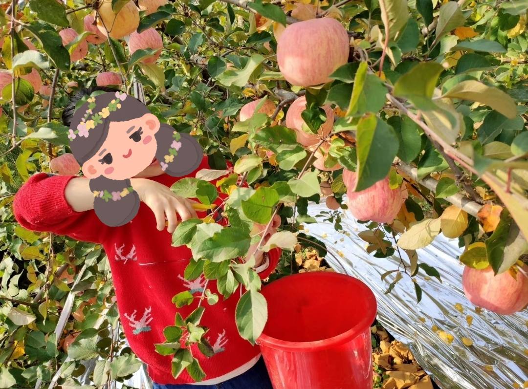 农村院里安个无线监控摄像头,农村家门口安装监控摄像头方法