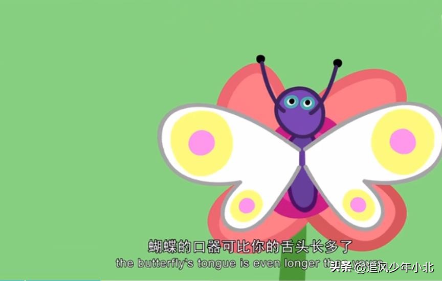 跟小猪佩奇一起学英语儿歌,小猪佩奇英语故事简短版