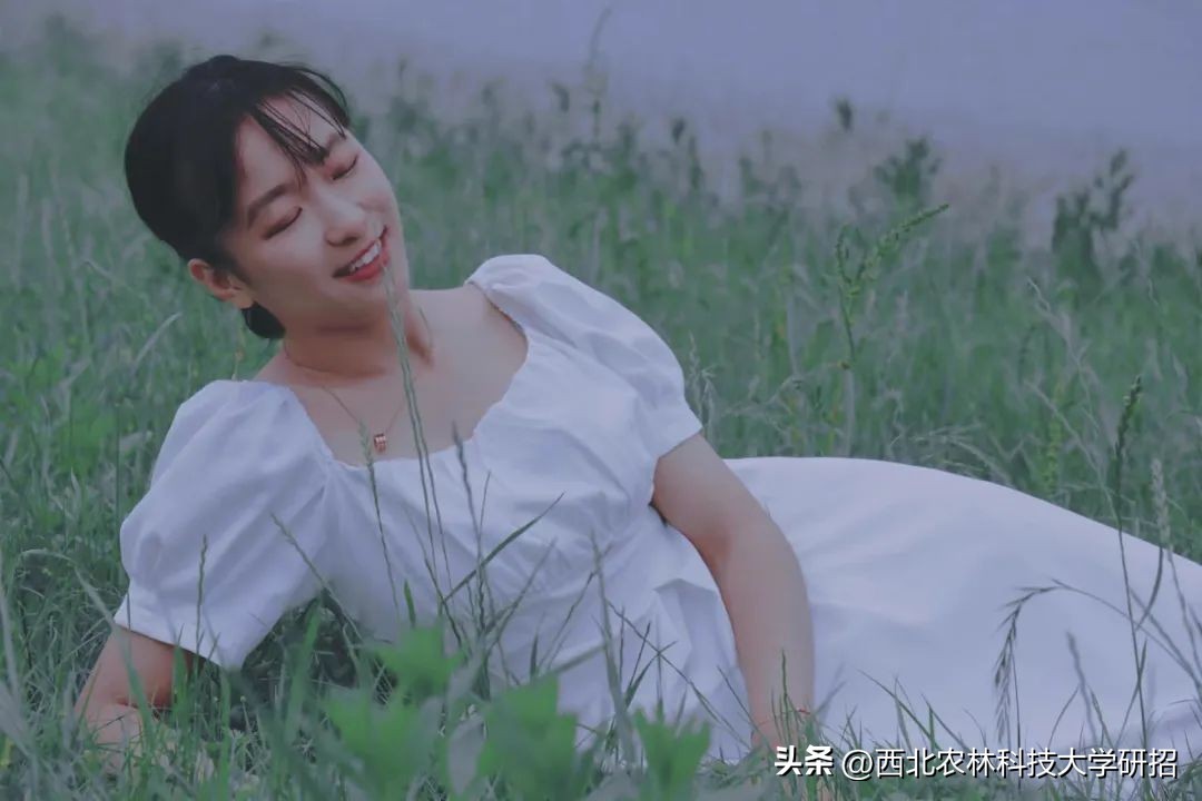 瑗垮寳鍐滄灄绉戞妧澶у鐮斿鎰熸偀,瑗垮寳鍐滄灄绉戞妧澶у鐮斿涔嬫梾